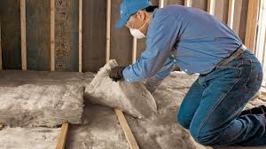 Best Garage Insulation  in South Gull Lake, MI